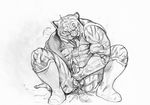  anthro balls cum erection feline kupopo male mammal masturbation penis sketch tiger tongue 