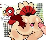 anthro avian beak beckoning big_butt bird bodily_fluids breasts butt butt_grab digital_media_(artwork) duo english_text eyelashes feathers female female_focus galliform genital_fluids genitals gesture hand_on_butt hi_res huge_butt imminent_sex leaning leaning_forward lewdewott looking_at_viewer looking_back miitopia mouth_anus multicolored_body multicolored_feathers nintendo non-mammal_breasts offscreen_character offscreen_male open_beak open_mouth penis phasianid precum red_body red_feathers side_boob simple_background solo_focus spread_butt spread_mouth spreading tail tail_feathers tan_body tan_feathers text thick_thighs tongue turkey twerkey white_background
