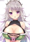  :o breasts cleavage cleavage_cutout echinacea_(flower_knight_girl) flower flower_knight_girl grey_hair kurot large_breasts long_hair looking_at_viewer purple_eyes solo spikes twitter_username upper_body white_background 
