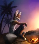  4_toes 5_fingers anthro barefoot black_nose brown_fur brown_hair canine clothed clothing detailed_background fire fluffy fluffy_tail fox fur green_eyes hair hi_res hoodie male mammal orange_fur outside sitting sky solo star starry_sky thanshuhai toes twilight 