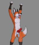  anthro balls canine erection fox greeneyes handjob knot male mammal martinballamore nude penis simple_background solo 