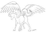  2016 animal_genitalia animal_penis balls black_and_white butt caboni32 equine equine_penis feathered_wings feathers feral friendship_is_magic hair hooves line_art male mammal monochrome my_little_pony pegasus penis soarin_(mlp) solo underhoof wings wonderbolts_(mlp) 