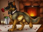 alcohol animal_genitalia balls beverage black_bow_tie black_claws black_nose bottle bow_tie brown_body brown_fur brown_tail canid canine champagne cheek_tuft claws container facial_tuft feral fireplace flower flower_in_mouth fully_sheathed fur genitals glistening glistening_eyes grey_body grey_fur grey_tail hi_res inside killthe_demon looking_at_viewer male mammal narrowed_eyes neck_tuft orange_pawpads pawpads plant quadruped rose_(flower) rose_in_mouth sheath side_view solo tail tan_balls tan_body tan_fur tan_sheath tuft