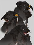  2016 angry anthro black_fur black_hair black_horn bovine braided_hair brown_eyes digital_media_(artwork) facial_piercing feathers fur gold_(metal) grey_background hair hi_res horn horn_ring long_hair male mammal model_sheet nose_piercing nose_ring open_mouth piercing pigtails septum_piercing simple_background solo tauren teeth treats twin_braids video_games warcraft 