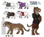  cave_lion clothed_feral clothing color_swatch english_text feline female feral firefeathers hoodie lion mammal model_sheet multiple_outfits nude on_haunches side_view text tsavo walking 