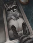 5_toes ambiguous_gender animal_genitalia balls belly big_belly brown_eyes difetra digital_media_(artwork) digital_painting_(artwork) facial_markings feet feral fur genitals grey_body grey_fur head_markings high-angle_view inside kitchen kitchen_sink looking_at_viewer lying male mammal markings mask_(marking) on_back painting_(artwork) pawpads paws penis penis_tip procyonid quadruped raccoon sheath sink solo stuck third-party_edit toes