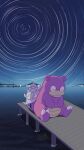  city_lights colored_skin dock full_body highres horizon mountain night no_humans outdoors pink_skin pokemon pokemon_(creature) pokemon_focus sitting sky sleeping sleeping_upright slowbro star_(sky) star_trail swirl tatsumi_(panneko) twitter_username water watermark 