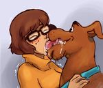  bestiality blush canine collar dog drooling extreme_french_kiss eyewear female feral freckles glasses human human_on_feral interspecies kissing lips male male/female mammal saliva scooby-doo scooby-doo_(series) slobber tongue ungulatr velma velma_(scooby-doo) 