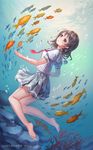  :o air_bubble animal barefoot blue_eyes brown_hair bubble character_name coral feet fish freediving highres love_live! love_live!_sunshine!! pleated_skirt rakuhei rock school_of_fish school_uniform serafuku short_hair skirt soles underwater uranohoshi_school_uniform watanabe_you 