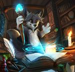  4_fingers anthro black_nose book canine cape clothing detailed_background dog eyebrows fur grey_eyes grey_fur holding_object magic male mammal nude solo staff thanshuhai white_fur 