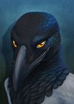  2016 ambiguous_gender anthro avian beak bird black_feathers bust_portrait character_request feathers grey_feathers looking_at_viewer magpie orange_eyes portrait shiroashi smile solo 