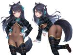  1girl ahoge animal_ear_fluff animal_ears argyle_clothes arm_support ass ass_visible_through_thighs belt black_hair black_shoes blue_belt blue_bow blue_bowtie blue_ribbon blush bodystocking bow bowtie breasts brown_belt cameltoe chest_belt closed_mouth commentary_request commission covered_navel cowboy_shot floating_hair foot_out_of_frame frilled_sleeves frills hair_between_eyes hair_ribbon hands_on_own_hips highres long_hair long_sleeves looking_at_viewer multiple_views open_mouth red_eyes ribbon shoe_soles shoes shrug_(clothing) simple_background skeb_commission small_breasts smile standing suyamori svartlilja_(vrchat) tail thigh_belt thigh_strap very_long_hair vrchat white_background wolf_ears wolf_girl wolf_tail 