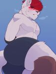 absurd_res anthro arms_tied big_butt blue_background blush bodily_fluids bound butt chest_tuft clothed clothing domestic_cat featureless_chest felid feline felis fur grey_body grey_fur hair hands_behind_back hi_res lying male mammal nervous on_side red_hair simple_background sinisterheaven solo sweat sweatdrop thick_thighs tuft underwear underwear_only wide_hips