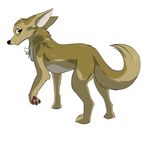  2016 bone canine el-gallo female feral fur golden_jackal jackal koralyeia_(darfix) mammal simple_background tan_fur yellow_eyes young 