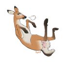 animal_genitalia animal_vulva blush blush_lines cervine_genitalia cervine_vulva deer female feral genitals hi_res mammal queenkoko solo tail vulva