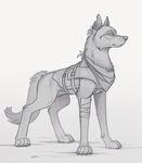  canine claws clothed clothing dog feral fur grey_nose greyscale hindpaw male mammal monochrome paws simple_background sketch solo standing white_background yakovlev-vad 