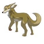  2016 bone canine el-gallo female feral fur golden_jackal jackal koralyeia_(darfix) mammal simple_background tan_fur yellow_eyes young 