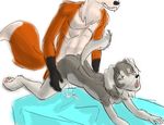  bluedmoka canine cum dog fox mammal nude orgasm saluki sex 