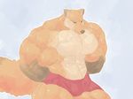  2015 abs biceps big_biceps big_tail blue_eyes brown_fur brown_nose canine cheek_tuft clothed clothing colored digital_drawing_(artwork) digital_media_(artwork) fluffy fluffy_tail fox front_view fur green_sclera grey_background hands_behind_back hyper hyper_muscles light looking_down mammal multicolored_fur muscular navel orange_fur pecs portrait quads red_clothing schwartzgeist serratus shaded shorts simple_background snout tan_fur three-quarter_portrait topless tuft 