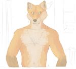  2014 athletic black_nose brown_fur canine chest_tuft clothed clothing colored_sketch digital_drawing_(artwork) digital_media_(artwork) fox front_view fur green_eyes inner_ear_fluff inside looking_away mammal multicolored_fur navel orange_fur schwartzgeist shower solo spot_color tan_fur topless towel tuft windows_(disambiguation) 