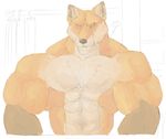  2015 abs biceps big_biceps black_nose brown_fur canine cheek_tuft colored digital_drawing_(artwork) digital_media_(artwork) eyes_closed fox front_view fur hyper hyper_muscles inner_ear_fluff inside light mammal manly multicolored_fur muscular orange_fur pecs pose schwartzgeist serratus shaded sharp_teeth shower smile solo spot_color tan_fur teeth tuft window 