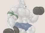  2015 abs action_pose anthro biceps big_biceps black_nose blue_clothing cheek_tuft clothed clothing colored digital_drawing_(artwork) digital_media_(artwork) dumbbell exercise fur huge_muscles lagomorph light light_theme male mammal muscular muscular_male pecs portrait quads rabbit schwartzgeist shaded shorts side_view simple_background smile solo standing three-quarter_portrait topless tuft weightlifting weights whiskers white_background white_fur workout 