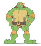  anthro anti_dev biceps clothing hi_res male muscular solo teenage_mutant_ninja_turtles 