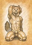  2016 animal_genitalia anthro armpits balls canine dog fur hand_behind_head kneeling looking_at_viewer male mammal monochrome navel nipples nude penis penis_tip pose sheath shiba_inu simple_background solo watermark wolf-nymph 