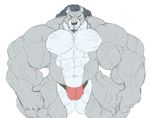  2014 5_fingers abs big_biceps black_nose colored digital_drawing_(artwork) digital_media_(artwork) facial_hair feline flat_colors front_view fur goatee grey_fur grey_hair hair humanoid_hands hyper hyper_muscles lion mammal multicolored_fur muscular navel no_sclera obliques pecs pose quads red_clothing schwartzgeist serratus simple_background snout thick_neck two_tone_fur vein white_background yellow_eyes 