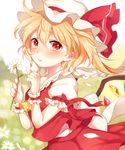  bangs blonde_hair blush commentary_request daisy day flandre_scarlet flower hair_between_eyes hat hat_ribbon holding holding_flower looking_at_viewer mob_cap outdoors paragasu_(parags112) petals puffy_short_sleeves puffy_sleeves red_eyes ribbon short_hair short_sleeves skirt skirt_set solo touhou wings wrist_cuffs 