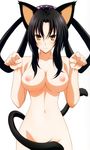  1girl black_hair breasts high_school_dxd kuroka large_breasts long_hair looking_at_viewer nipples nude smile solo standing yellow_eyes 