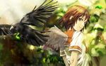  haibane_renmei rakka tagme wings 