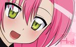  close hayate_no_gotoku katsura_hinagiku tagme vector 