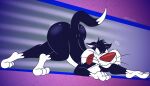 2025 3_toes 4_fingers all_fours alternate_version_at_paywall anthro ass_up belly big_butt biped black_body black_eyes black_fur bubble_butt butt casual_nudity cheek_tuft colored curvy_figure digital_drawing_(artwork) digital_media_(artwork) dipstick_tail domestic_cat ears_outwards facial_tuft feet felid feline felis fingers flat_colors fur gavanzude glistening glistening_butt gloves_(marking) head_tuft hi_res humanoid_heel leg_markings lines_drawn looney_tunes male mammal markings mischievous mischievous_smile nude pinup pivoted_ears plantigrade pose prowling raised_heel red_nose signature slightly_chubby slightly_chubby_anthro slightly_chubby_male sneaky socks_(marking) solo spine sylvester_(looney_tunes) tail tail_markings tiptoes toes tongue tongue_out tuft warner_brothers whisker_spots whiskers white_belly white_body white_feet white_fur white_hands white_sclera white_tail_tip wide_hips