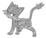  anus atrolux backsack balls butt erection feline feral greyscale litten looking_at_viewer looking_back male mammal monochrome nintendo one_leg_up penis perineum pok&eacute;mon presenting presenting_hindquarters quadruped raised_tail rear_view solo standing tapering_penis video_games 