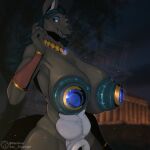 absurd_res anthro big_breasts breasts canid canine casual_nudity gem genitals gynomorph hi_res huge_breasts hyper hyper_breasts hyper_genitalia intersex looking_at_viewer mammal morgan_(xensilver) night nipple_plugs outside plug_(sex_toy) sex_toy solo xensilver