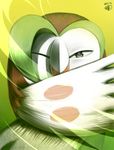  dartrix dated feathered_wings gen_7_pokemon green_background green_eyes highres kththeartist no_humans one_eye_closed pokemon pokemon_(creature) simple_background solo wings 
