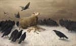  ambiguous_gender avian bird caprine corvid crow death invalid_tag mammal sheep snow 