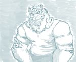  2014 arm_tuft biceps cheek_tuft clothed clothing digital_drawing_(artwork) digital_media_(artwork) feline fluffy front_view fur inner_ear_fluff looking_at_viewer male mammal monochrome muscular muscular_male pecs schwartzgeist shaded shirt simple_background snout solo standing striped_fur stripes teeth tiger tuft 