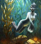  2016 anthro breasts featureless_breasts female front_view fur green_eyes grey_fur grey_hair hair jewelry kleur_(character) looking_at_viewer mammal marine navel necklace nude pinguinolog pinniped seal seaweed solo swimming underwater water whiskers 