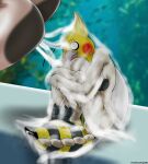 absurd_res ambiguous_fluids antennae_(anatomy) anthro anus aquarium arthropod arthropod_abdomen avian beak bee bird blurred_background butt cockatiel cockatoo crossed_arms curled_up dildo dildo_sitting dildo_sitting_reveal duo feathers female fetal_pose genitals ginevra_the_whale_storm heartlessangel3d hi_res hybrid hymenopteran insect insect_wings parrot penetration phoebe_the_queen_birbee sex_toy sitting solo_focus vivarium vore vulva white_eyes wings yellow_anus yellow_body yellow_feathers yellow_vulva