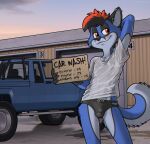 anthro bulge canid canine car_wash clothing ear_piercing fernley fox hi_res male mammal outside piercing shirt speedo swimwear topwear vehicle wet wet_clothing wet_shirt wet_topwear windy_(fernley)