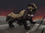 2011 anthro anthro_on_feral belly_expansion bestiality cum duo feet_first feral gnoll head_in_mouth inflation male male/male mammal mustelid oral_vore penis ripper_(character) strega vore wolverine 