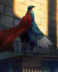  2016 anthro avian beak bird blue_feathers cape clothed clothing feathers looking_at_viewer looking_back magpie male orange_eyes outside pinguinolog solo standing tail_feathers talons winged_arms wings 