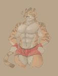  2015 abs biceps big_muscles briefs brown_fur brown_nose chin_tuft clothed clothing colored digital_drawing_(artwork) digital_media_(artwork) feline front_view fur head_tuft inner_ear_fluff looking_down male mammal manly muscular muscular_male navel orange_fur pecs red_clothing schwartzgeist shaded standing striped_fur striped_tail stripes tiger toony topless underwear white_fur yellow_eyes 