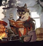 4_fingers anthro anthrofied appliance blurred_background book canid canine canis cheek_tuft chest_tuft claws clothing cookbook cooking cooking_pot eyebrows eyewear facial_tuft fingers fire fluffy fluffy_ears food fur fuzzy glasses grey_body grey_fur half-closed_eyes hi_res holding_object home inside intermarche_unloved light looking_down male mammal multicolored_body multicolored_fur narrowed_eyes neck_tuft onion open_mouth picture_frame plant randitawu reading reading_book smoke solo standing stove sunlight sweater teeth the_first_wolf_(unloved) topwear tuft underbelly vegetable wearing_glasses window wolf