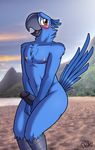  2016 anthro avian beach beak bird blu_(rio) blue_feathers blush chest_tuft drako1997 erection feathers hi_res looking_back macaw male nipples nude open_mouth parrot penis rio seaside solo tuft 