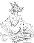  2003 anthro biceps chris_sawyer claws dragon ear_fins fin happy horn male muscular nude scalie sitting smile solo western_dragon wings 