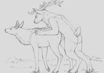  2016 all_fours animal_genitalia animal_penis anthro anthro_on_feral antlers bestiality black_and_white butt cervine cervine_penis cum cum_in_pussy cum_inside cum_leaking cum_on_penis digital_drawing_(artwork) digital_media_(artwork) duo elk erection eye_contact female feral from_behind_position grey_background hooves horn looking_back male male/female male_on_feral male_penetrating mammal monochrome mounting nude penetration penis raised_tail saeth_dryhtenhart sex side_view simple_background sketch vaginal vaginal_penetration yaroul 