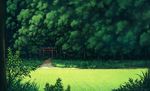  branch day forest grass highres leaf nature no_humans original outdoors plant road sasaj scenery summer torii tree tree_branch 